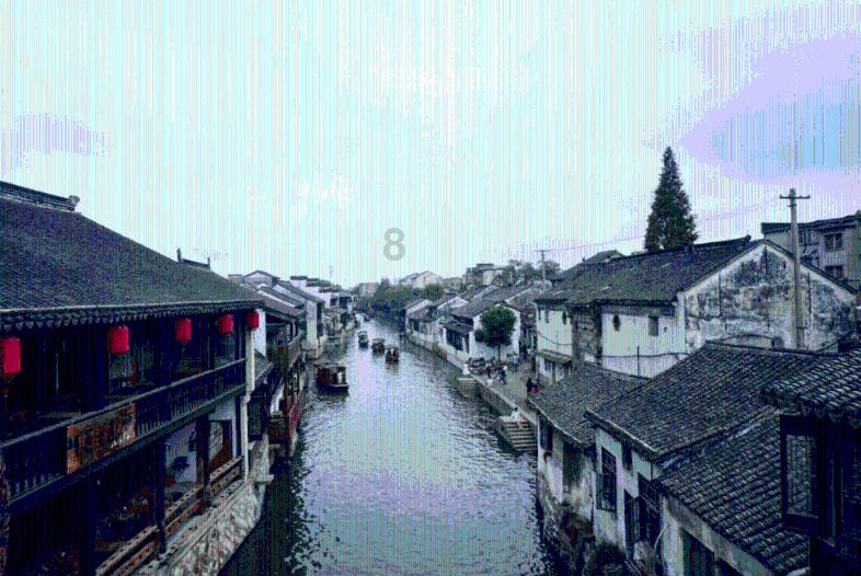 动物帮帮忙保卫家园